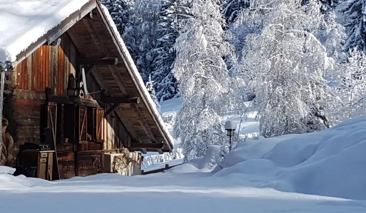 Lodge - Chalet - Combeloux